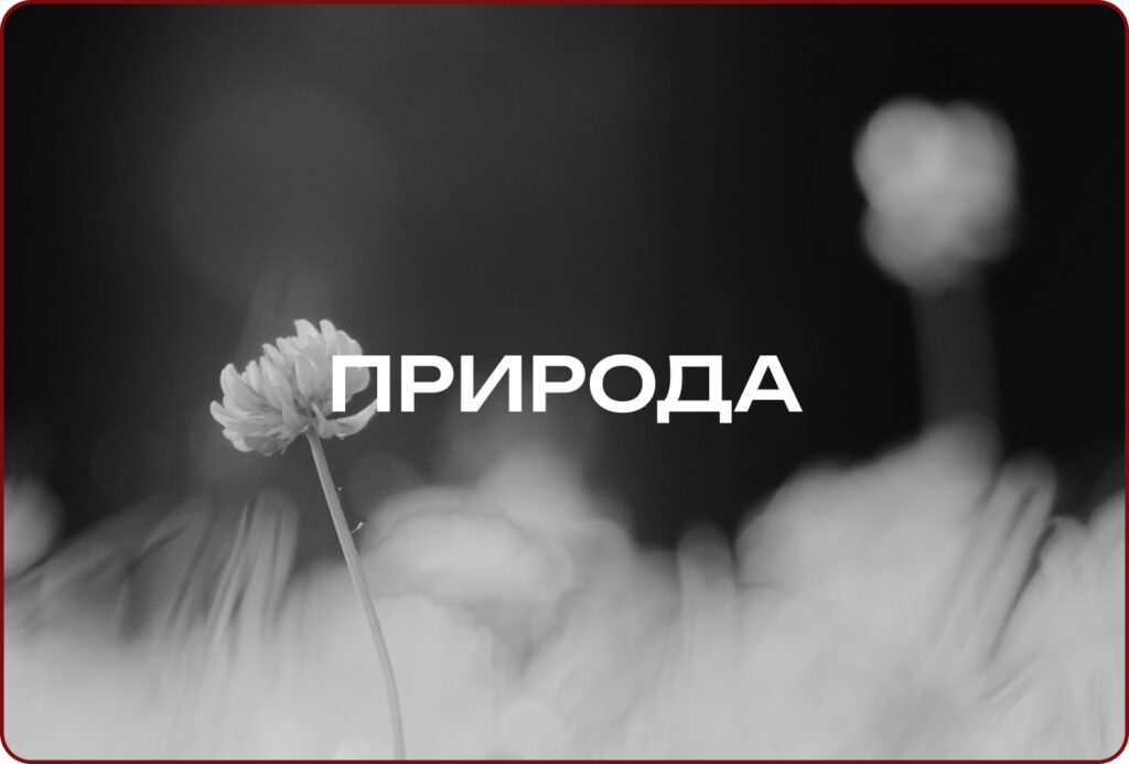 природа портфоліо